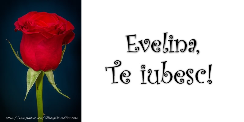  Felicitari de dragoste - Trandafiri | Evelina Te iubesc!