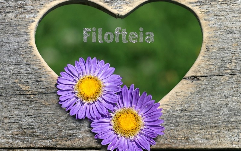 Felicitari de dragoste - Filofteia