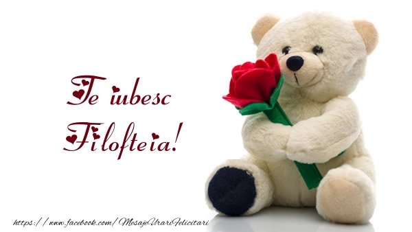 Felicitari de dragoste - Te iubesc Filofteia!