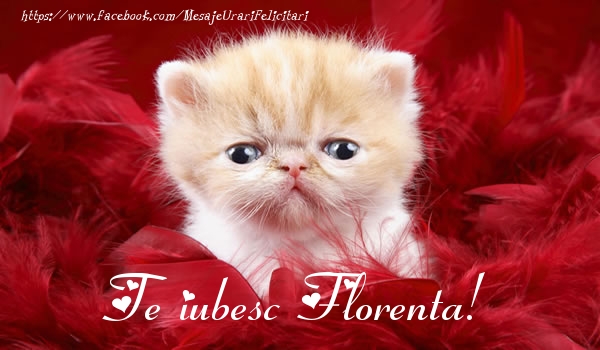 Felicitari de dragoste - Haioase | Te iubesc Florenta!