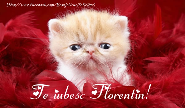 Dragoste Te iubesc Florentin!