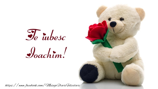 Felicitari de dragoste - Ursuleti | Te iubesc Ioachim!