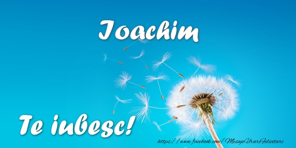 Felicitari de dragoste - Flori | Ioachim Te iubesc!