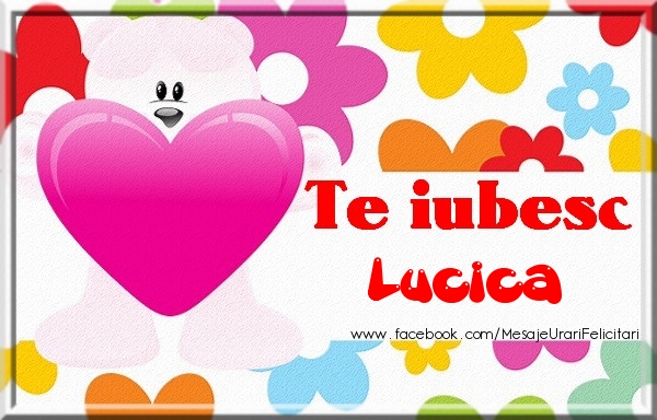 Dragoste Te iubesc Lucica