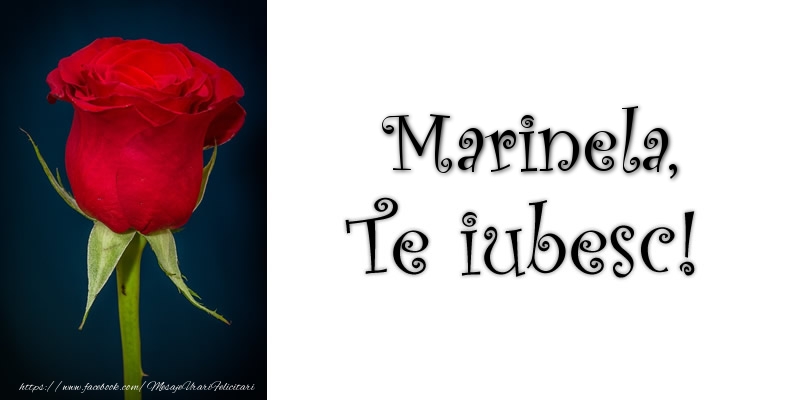  Felicitari de dragoste - Trandafiri | Marinela Te iubesc!