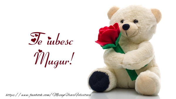  Felicitari de dragoste - Ursuleti | Te iubesc Mugur!