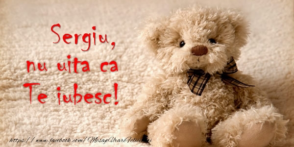  Felicitari de dragoste - Ursuleti | Sergiu nu uita ca Te iubesc!