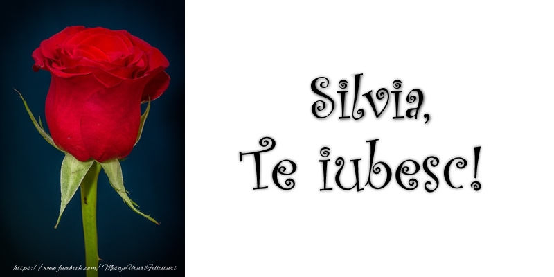  Felicitari de dragoste - Trandafiri | Silvia Te iubesc!
