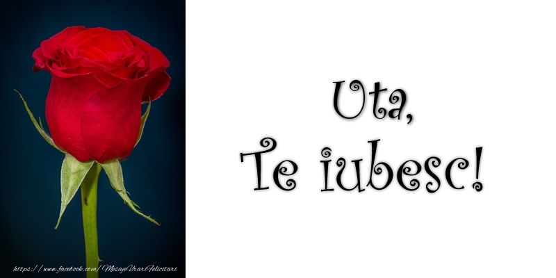  Felicitari de dragoste - Trandafiri | Uta Te iubesc!