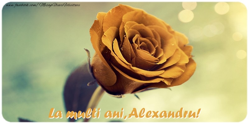  Felicitari de la multi ani - Flori & Trandafiri | La multi ani, Alexandru!