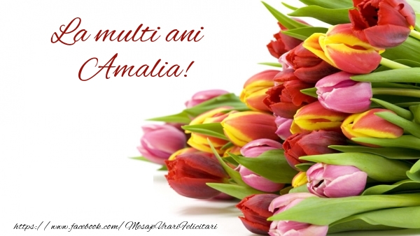  Felicitari de la multi ani - Flori & Lalele | La multi ani Amalia!