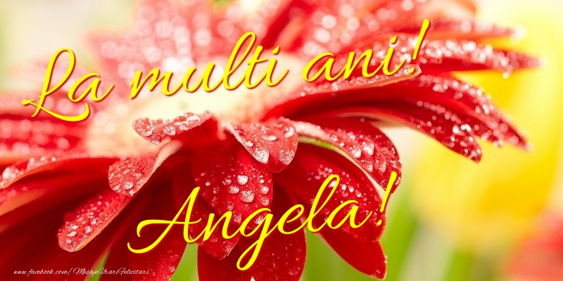 Felicitari de la multi ani - Flori | La multi ani! Angela