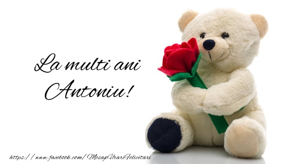 Felicitari de la multi ani - Trandafiri & Ursuleti | La multi ani Antoniu!