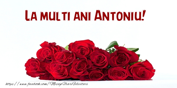  Felicitari de la multi ani - Flori | La multi ani Antoniu!