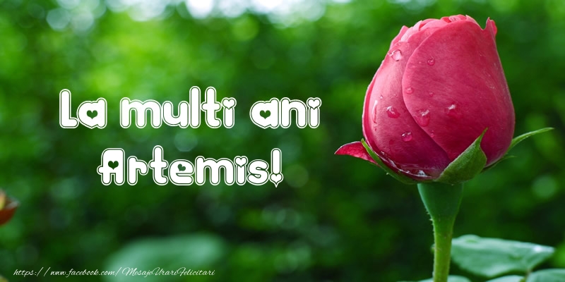  Felicitari de la multi ani - Flori & Lalele | La multi ani Artemis!