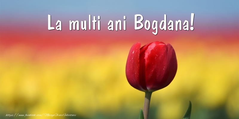  Felicitari de la multi ani - Flori & Lalele | La multi ani Bogdana!