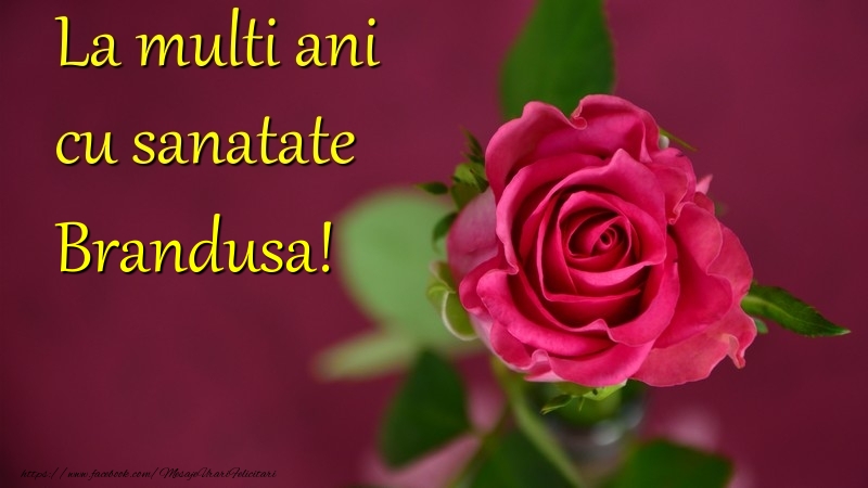  Felicitari de la multi ani - Flori | La multi ani cu sanatate Brandusa