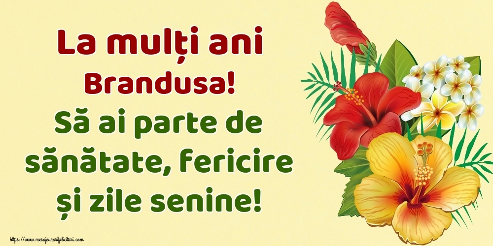  Felicitari de la multi ani - Flori | La mulți ani Brandusa! Să ai parte de sănătate, fericire și zile senine!