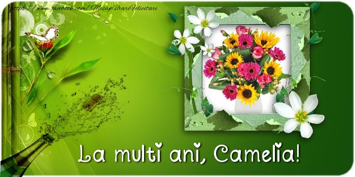  Felicitari de la multi ani - Flori & Sampanie & 1 Poza & Ramă Foto | La multi ani Camelia