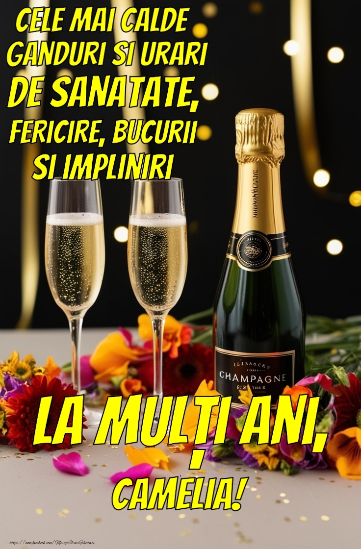  Felicitari de la multi ani - Felicitare cu șampanie personalizată cu nume