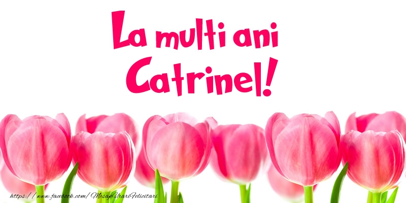  Felicitari de la multi ani - Flori & Lalele | La multi ani Catrinel!