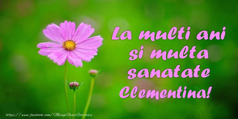  Felicitari de la multi ani - Flori | La multi ani si multa sanatate Clementina!
