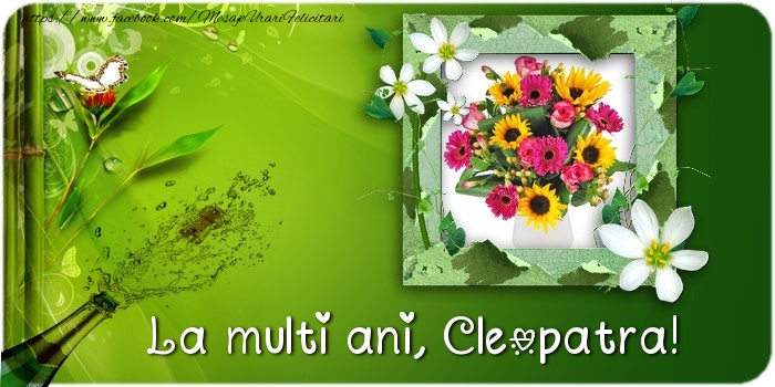  Felicitari de la multi ani - Flori & Sampanie & 1 Poza & Ramă Foto | La multi ani Cleopatra