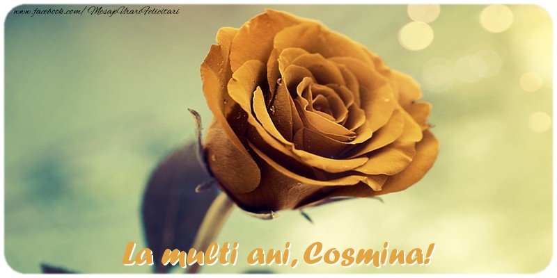  Felicitari de la multi ani - Flori & Trandafiri | La multi ani, Cosmina!