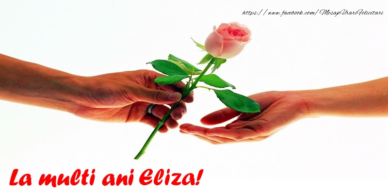 Felicitari de la multi ani - Flori & Trandafiri | La multi ani Eliza!
