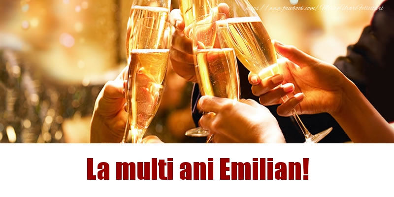  Felicitari de la multi ani - Sampanie | La multi ani Emilian!