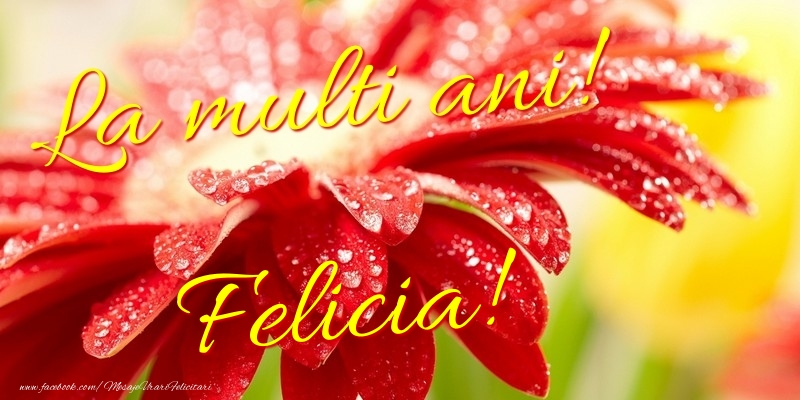  Felicitari de la multi ani - Flori | La multi ani! Felicia