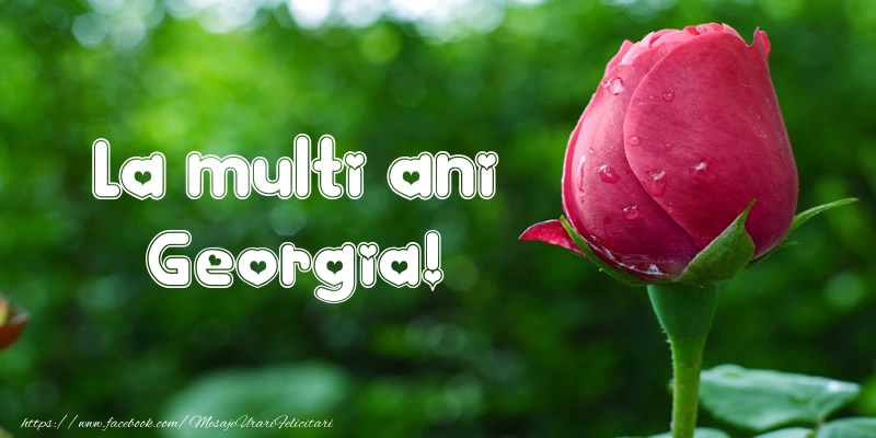 Felicitari de la multi ani - Flori & Lalele | La multi ani Georgia!