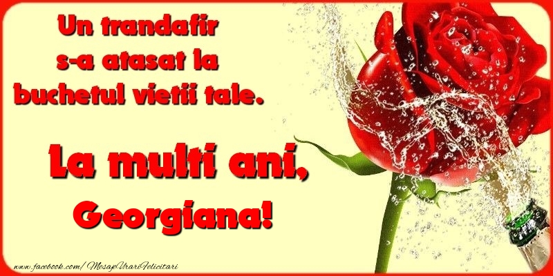  Felicitari de la multi ani - Flori & Sampanie | Un trandafir s-a atasat la buchetul vietii tale. Georgiana