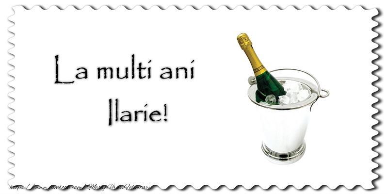  Felicitari de la multi ani - Sampanie | La multi ani Ilarie!