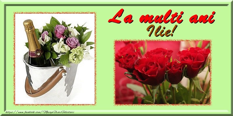  Felicitari de la multi ani - Flori & Trandafiri & 1 Poza & Ramă Foto | La multi ani Ilie