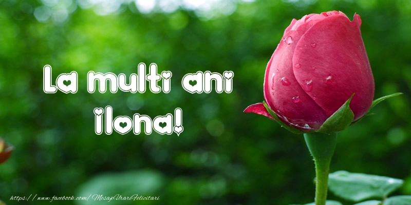 Felicitari de la multi ani - Flori & Lalele | La multi ani Ilona!