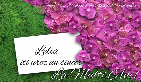 Felicitari de la multi ani - Lelia iti urez un sincer La multi Ani!