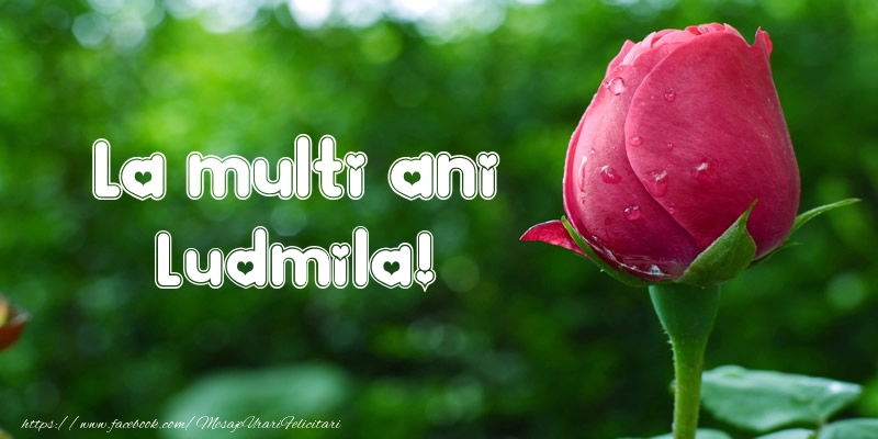  Felicitari de la multi ani - Flori & Lalele | La multi ani Ludmila!