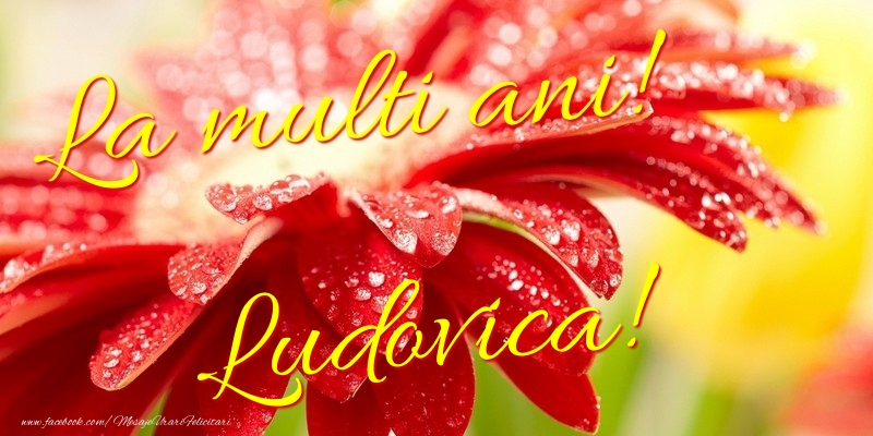 Felicitari de la multi ani - La multi ani! Ludovica