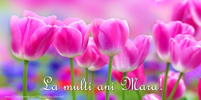  Felicitari de la multi ani - Flori & Lalele | La multi ani Mara!