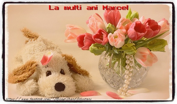 Felicitari de la multi ani - La multi ani Marcel