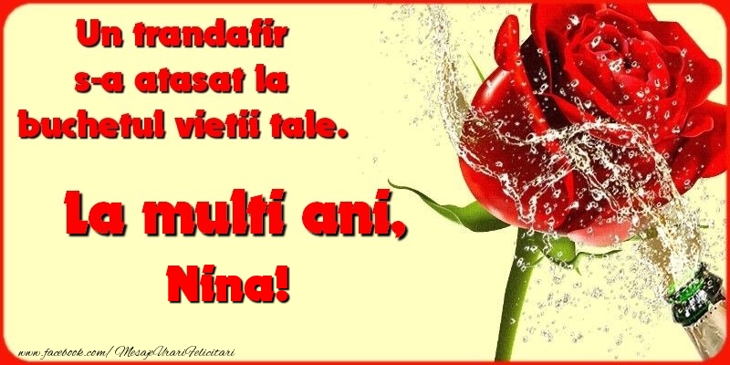  Felicitari de la multi ani - Flori & Sampanie | Un trandafir s-a atasat la buchetul vietii tale. Nina