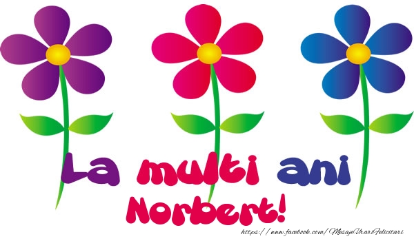  Felicitari de la multi ani - Flori | La multi ani Norbert!