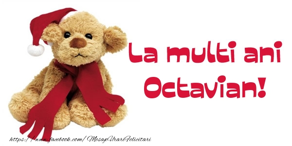 Felicitari de la multi ani - Ursuleti | La multi ani Octavian!