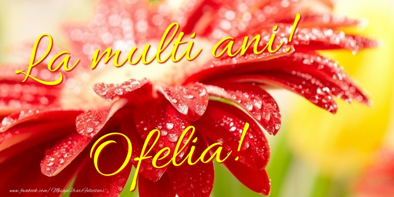 Felicitari de la multi ani - Flori | La multi ani! Ofelia