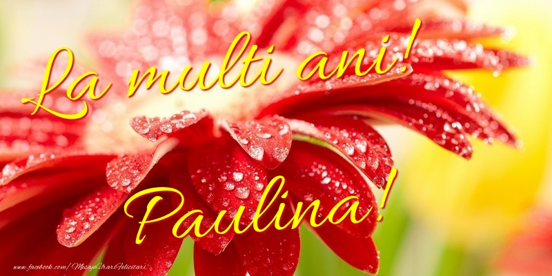  Felicitari de la multi ani - Flori | La multi ani! Paulina