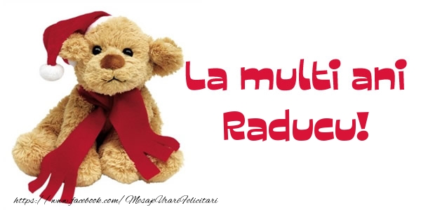  Felicitari de la multi ani - Ursuleti | La multi ani Raducu!