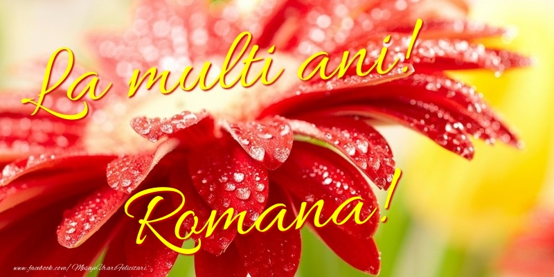  Felicitari de la multi ani - Flori | La multi ani! Romana