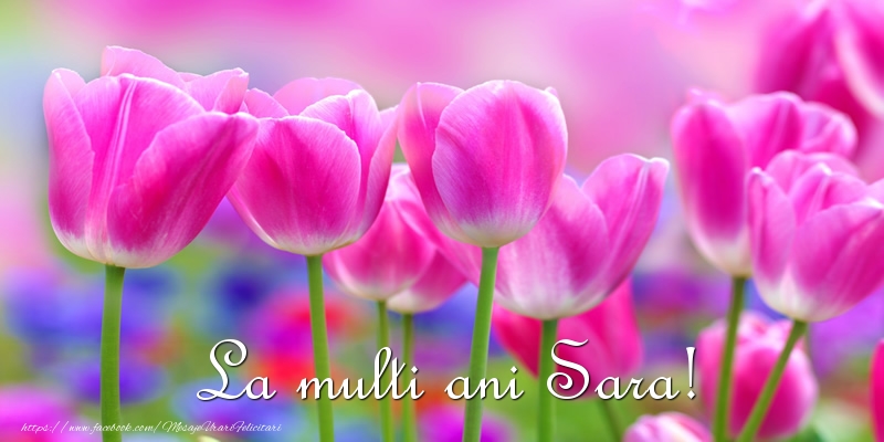 Felicitari de la multi ani - Flori & Lalele | La multi ani Sara!