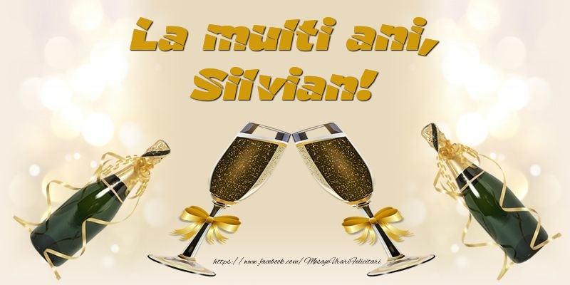  Felicitari de la multi ani - Sampanie | La multi ani, Silvian!